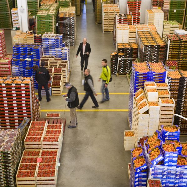 commerce-de-gros-fruits-légumes